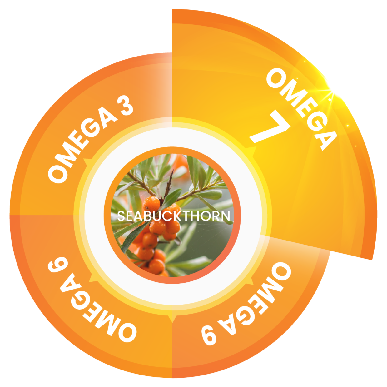 Core Plant-Based Oils Diagram
