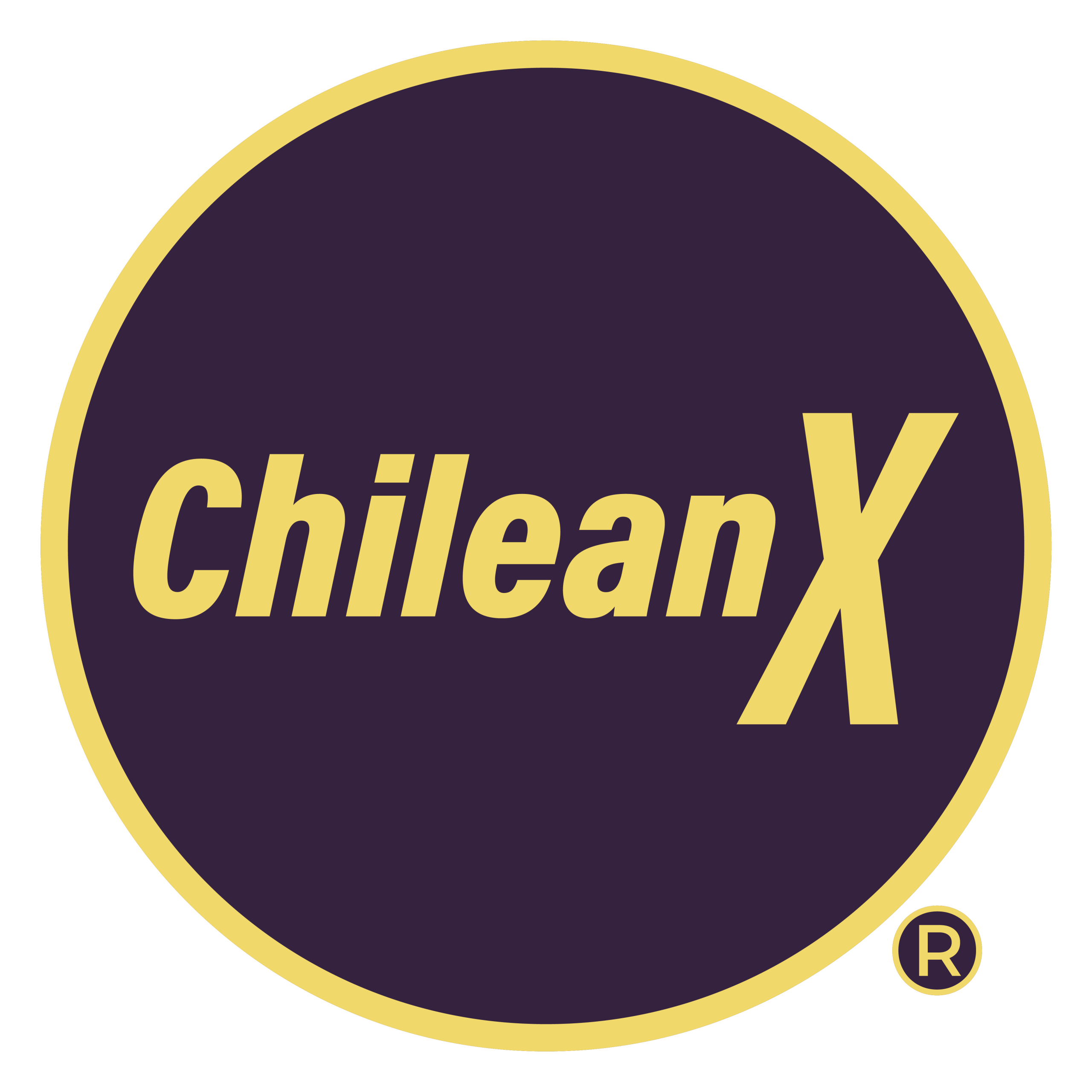 ChileanX Logo