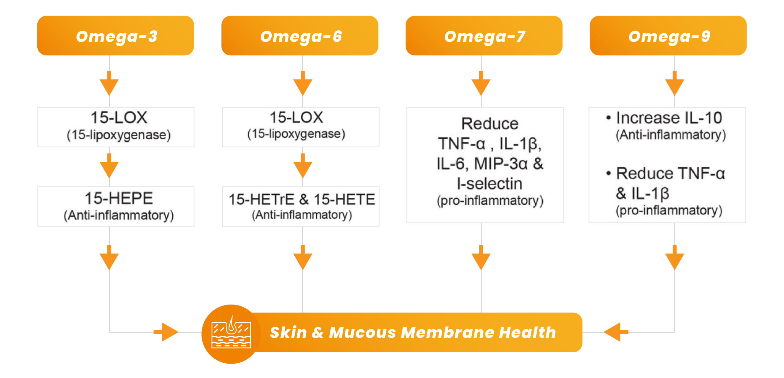 OMEGAPEX Mechanism of Action Diagram 1