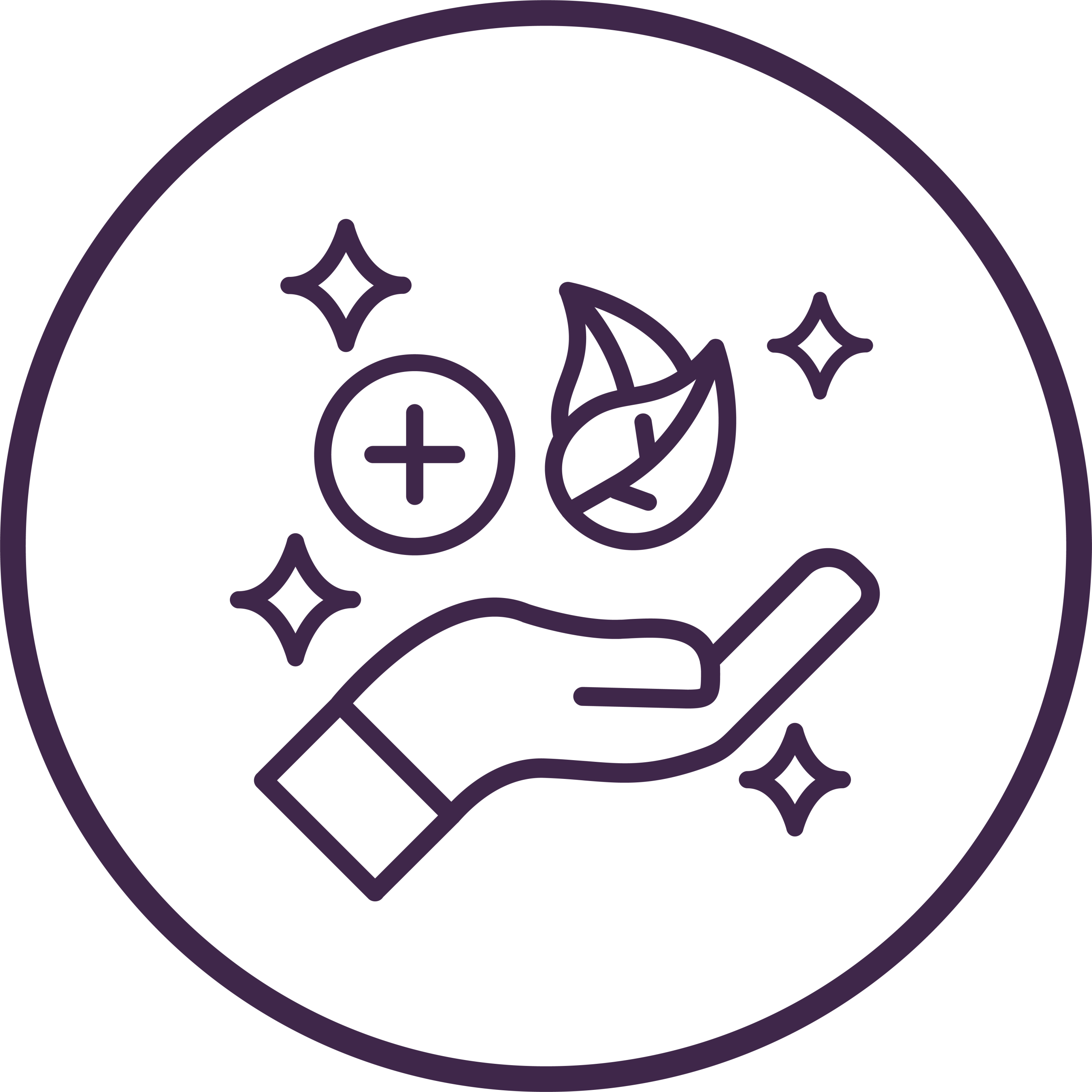 Digestive Regeneration